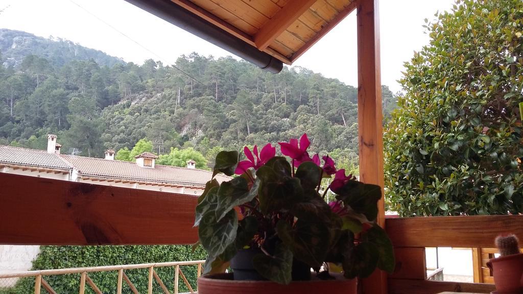 Cabanas De Madera El Rinconcillo Arroyo Frio Exteriér fotografie