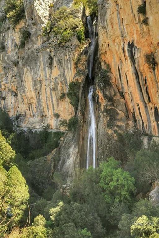 Cabanas De Madera El Rinconcillo Arroyo Frio Exteriér fotografie